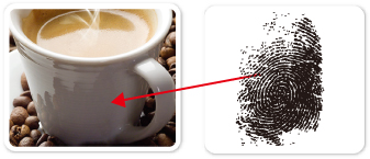 1585639261431505.jpg image005.jpg