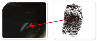 1585639625904516.jpg image009.jpg